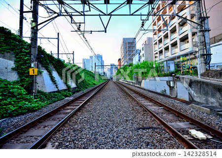 長崎丸十字路口:東京少數的JR東日本鐵路平交道之一。 長崎丸十字路口:東京少數的JR東日本鐵路平交道之一。 142328514