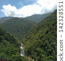 台灣烏來，清澈的溪流蜿蜒流經山林，景色優美。 142328551
