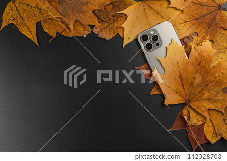 Smartphone surrounded by autumn leaves on a dark surface Smartphone surrounded by autumn leaves on a dark surface 142328708