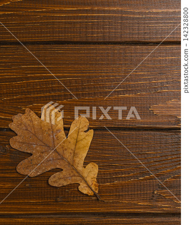 Autumn leaves on a wooden table celebrate the fall season 142328800