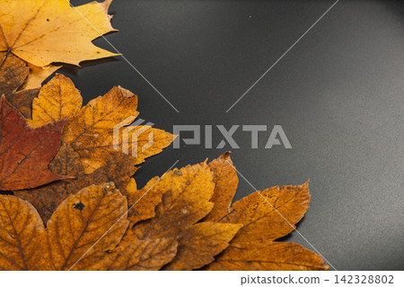 Autumn leaves on dark background for seasonal display and greeting cards Autumn leaves on dark background for seasonal display and greeting cards 142328802