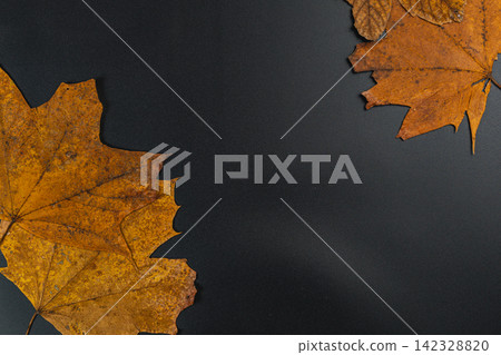 Colorful autumn leaves displayed on a black wooden background 142328820
