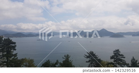 the sea view with clouds and the sky 142329516