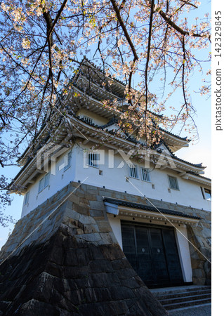 岐阜縣大垣市須俁城櫻花節 岐阜縣大垣市須俁城櫻花節 142329845