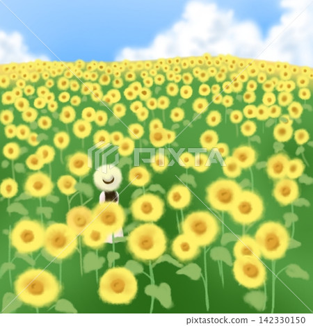 A sunflower field and a girl 142330150