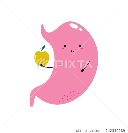 Cute cartoon stomach with a smiling face isolated on white background Cute cartoon stomach with a smiling face isolated on white background 142330289