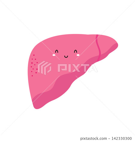 Vector illustration of a happy healthy liver Vector illustration of a happy healthy liver 142330300