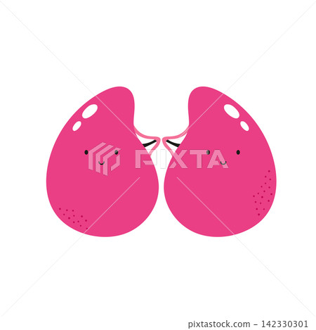 Vector illustration of cute healthy kidneys characters Vector illustration of cute healthy kidneys characters 142330301