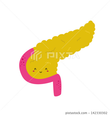 Vector illustration of a cute strong healthy pancreas Vector illustration of a cute strong healthy pancreas 142330302