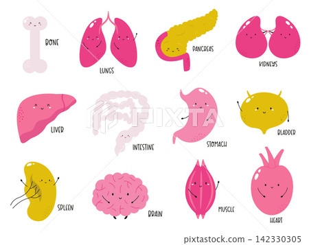 Colorful cartoon human organs with smiling faces on white background Colorful cartoon human organs with smiling faces on white background 142330305