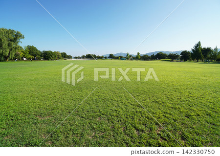 A park scene with a cloudless blue sky and a sprawling green lawn. A park scene with a cloudless blue sky and a sprawling green lawn. 142330750