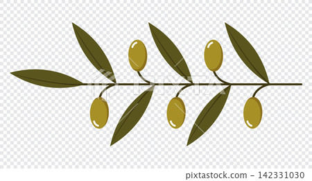 Olive branch with fruits and leaves. Fresh organic Mediterranean food. Flat botanical elements. Vector illustration Olive branch with fruits and leaves. Fresh organic Mediterranean food. Flat botanical elements. Vector illustration 142331030
