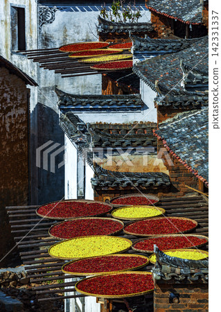 Traditional autumn harvest drying scenery of Huizhou architecture, Wuyuan Jiangxi China Traditional autumn harvest drying scenery of Huizhou architecture, Wuyuan Jiangxi China 142331337