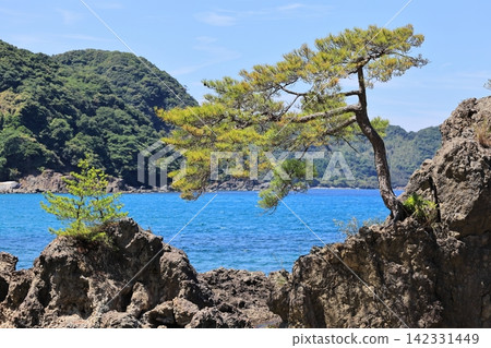 美保關的夏天,宗洲海灘 1 美保關的夏天,宗洲海灘 1 142331449