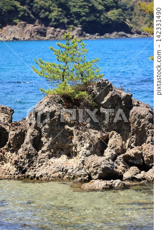 美保關的夏天,宗洲海灘 5 美保關的夏天,宗洲海灘 5 142331490