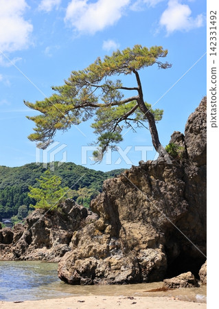 美穗關的夏天,總津海灘,第三部分 美穗關的夏天,總津海灘,第三部分 142331492