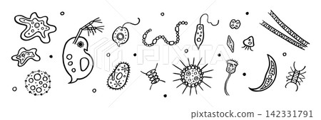 手繪線條藝術插圖集，描繪微生物和浮游生物 - 黑白 142331791