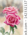 A watercolor painting of purple roses in bloom. 142332137
