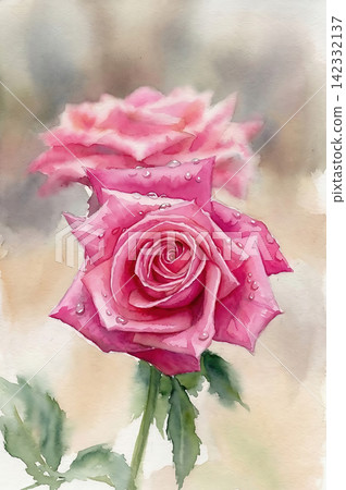A watercolor painting of purple roses in bloom. A watercolor painting of purple roses in bloom. 142332137