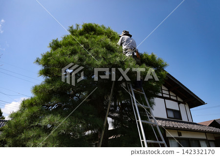 照顧花園樹木的男人 照顧花園樹木的男人 142332170