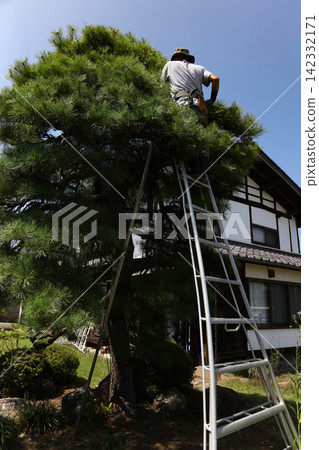 照顧花園樹木的男人 照顧花園樹木的男人 142332171