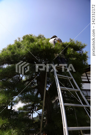 照顧花園樹木的男人 142332172
