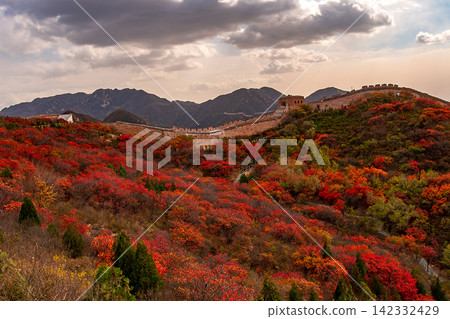 Autumn landscape of Badaling Hongye Ridge Great Wall Beijing China historic architecture and colorful mountain forest Autumn landscape of Badaling Hongye Ridge Great Wall Beijing China historic architecture and colorful mountain forest 142332429