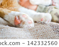 Cat paw close up. Domestic pet resting. Soft cat's foot. High quality photo 142332560
