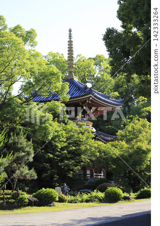 朝聖路線上的第六座寺廟,溫泉山琉璃光院安樂寺,周圍綠樹環繞,寺內有一座多層寶塔。 朝聖路線上的第六座寺廟,溫泉山琉璃光院安樂寺,周圍綠樹環繞,寺內有一座多層寶塔。 142333264