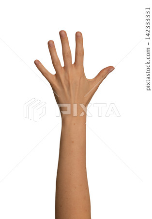 Female hand raised with all five fingers spread apart. Gesture resembles a wave, greeting, or open Female hand raised with all five fingers spread apart. Gesture resembles a wave, greeting, or open 142333331