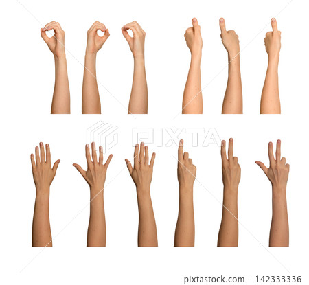Female hand set showing multiple gestures with varied arm poses. Includes zero gesture, pointing 142333336