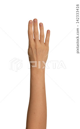 Female right hand raises four fingers upward in a row. Gesture suggests counting or showing the Female right hand raises four fingers upward in a row. Gesture suggests counting or showing the 142333416