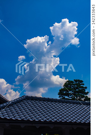 [Kyoto Scenery] Summer at Shokokuji Temple, a place of faith and history, with large clouds spreading across the sky. 142333643