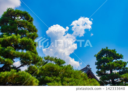 [Kyoto Scenery] Summer at Shokokuji Temple, a place of faith and history, with large clouds spreading across the sky. 142333648