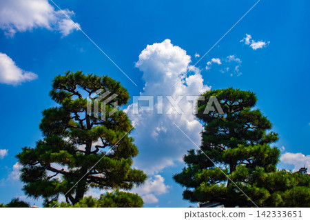 【京都風景】信仰與歷史的聖國寺,夏日雲海籠罩天空。 【京都風景】信仰與歷史的聖國寺,夏日雲海籠罩天空。 142333651
