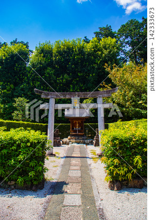 [Kyoto Scenery] Summer at Shokokuji Temple, a place of faith and history, with large clouds spreading across the sky. 142333673