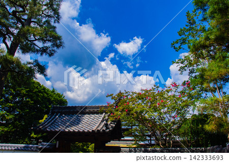 [Kyoto Scenery] Summer at Shokokuji Temple, a place of faith and history, with large clouds spreading across the sky. 142333693