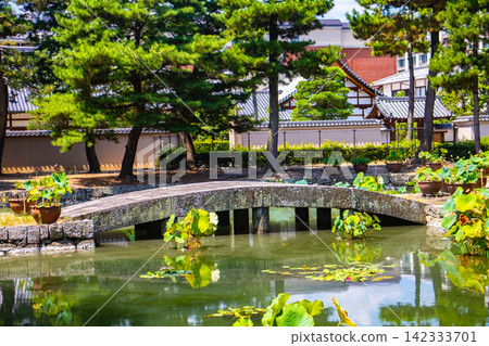 [Kyoto Scenery] Summer at Shokokuji Temple, a place of faith and history, with large clouds spreading across the sky. 142333701