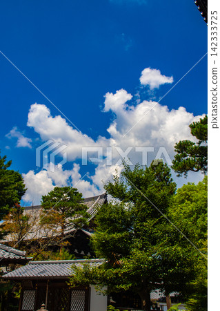 [Kyoto Scenery] Summer at Shokokuji Temple, a place of faith and history, with large clouds spreading across the sky. 142333725