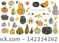 A set of various hand-drawn pumpkin designs in a rough style. 142334162