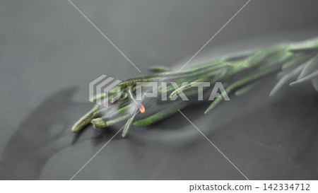 Rosemary sprig burning and smudging, creating aromatic smoke for cleansing rituals and spiritual practices Rosemary sprig burning and smudging, creating aromatic smoke for cleansing rituals and spiritual practices 142334712
