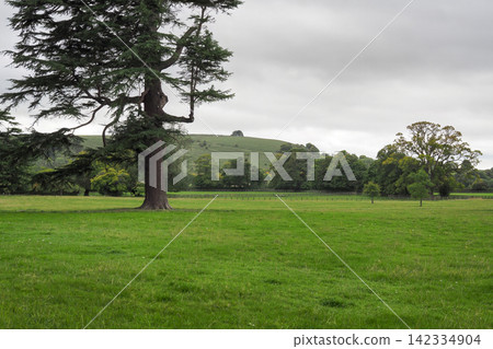 View of Ladle Hill from Sydmonton Court Parkland, Hampshire View of Ladle Hill from Sydmonton Court Parkland, Hampshire 142334904