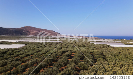 Olive groves and greenhouses in a vast agricultural landscape near the sea in Crete, Greece Olive groves and greenhouses in a vast agricultural landscape near the sea in Crete, Greece 142335138