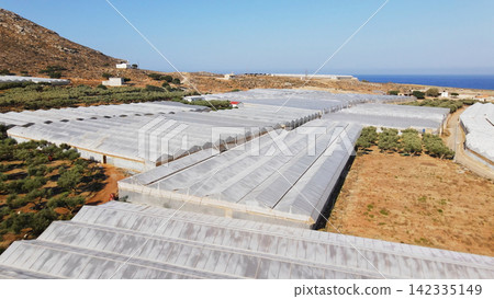 Vast greenhouse complex cultivating crops near the Mediterranean Sea on the island of Crete, agricultural industry producing fresh produce Vast greenhouse complex cultivating crops near the Mediterranean Sea on the island of Crete, agricultural industry producing fresh produce 142335149