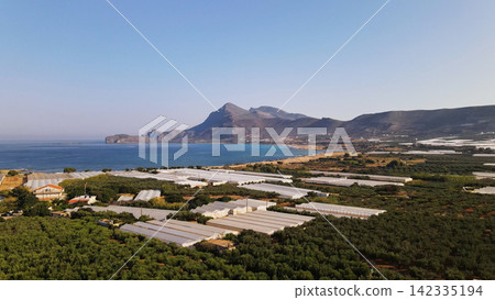 Greenhouses and olive groves on the coast of Falassarna, Crete, with mountains and Mediterranean Sea under clear sky Greenhouses and olive groves on the coast of Falassarna, Crete, with mountains and Mediterranean Sea under clear sky 142335194