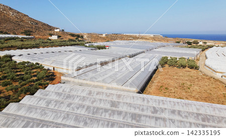 Vast greenhouses and olive trees covering a hillside landscape along the Mediterranean coast, an aerial view Vast greenhouses and olive trees covering a hillside landscape along the Mediterranean coast, an aerial view 142335195