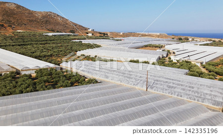 Agricultural landscape featuring greenhouses and olive groves near the Mediterranean Sea in Crete, Greece Agricultural landscape featuring greenhouses and olive groves near the Mediterranean Sea in Crete, Greece 142335196
