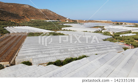 Extensive greenhouse farm operations covering hillsides near the Mediterranean coast, supporting modern agriculture and food production 142335198