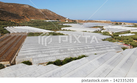 Greenhouses for agriculture and farming industry in Falassarna, Crete, with olive groves and Mediterranean sea view Greenhouses for agriculture and farming industry in Falassarna, Crete, with olive groves and Mediterranean sea view 142335203