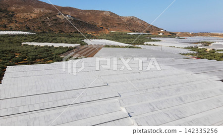 Agricultural landscape with extensive plastic covered greenhouses, olive groves, and arid hills in Crete, Greece Agricultural landscape with extensive plastic covered greenhouses, olive groves, and arid hills in Crete, Greece 142335256